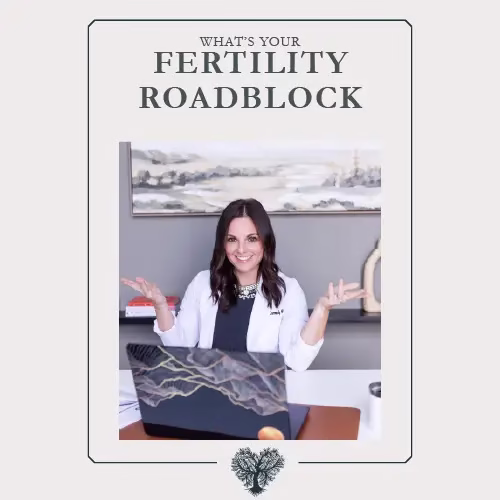 Whats Your Roadblock Guide Sacred Roots Fertility in Boise, Idaho