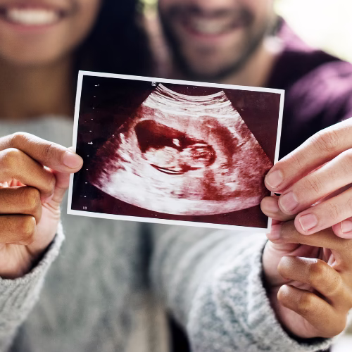 Ultrasound Imaging & Functional Fertility in Boise, ID